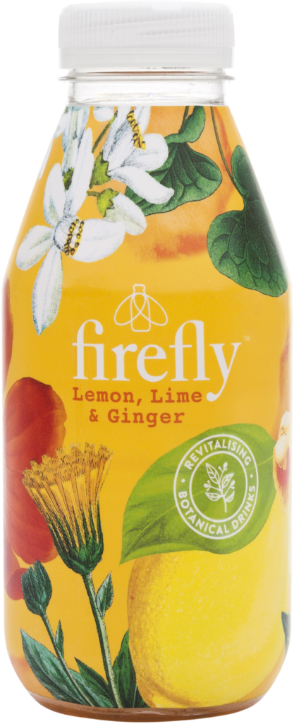 firefly Lime – Citron – Gingembre (102591)